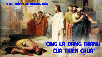 Suy Niệm Lời Chúa Thứ Ba Tuần  22 Mùa Thường Niên