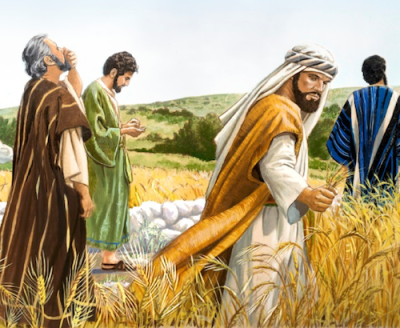 Suy Niệm Lời Chúa Thứ Bảy Tuần 22 Mùa Thường Niên