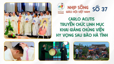 ​​​​​​​Nhịp sống Giáo hội Việt Nam số 37