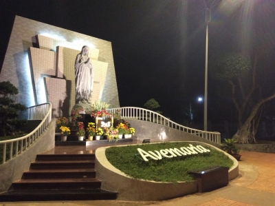 Hình ảnh ngày 31.10.2019