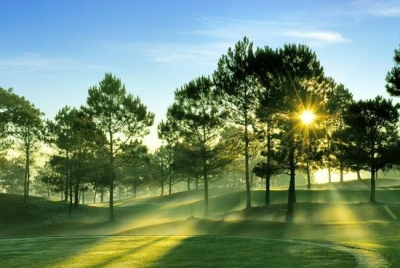 ​​​​​​​Chân trời mới