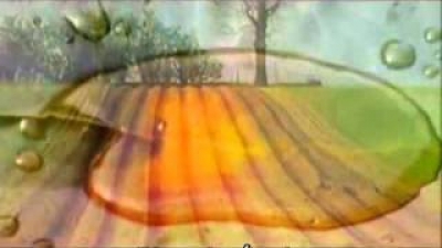 Tản mạn chiều đông