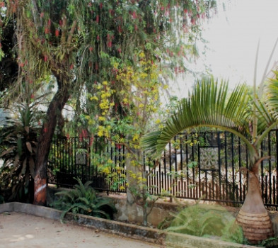 Quê hương nỗi nhớ