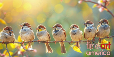 Quý hơn muôn chim