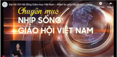 Nhịp sống Giáo hội Việt Nam số 41