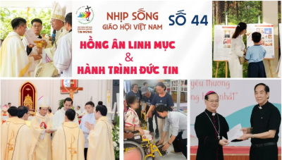 Hồng ân Linh mục và Hành trình đức tin: Nhịp sống GHVN số 44