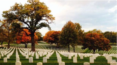 Bởi Chúa luôn từ ái một niềm-ơn Cứu chuộc nơi Ngài chưa chan