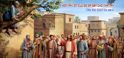 Hôm nay ơn cứu độ đã đến cho nhà này