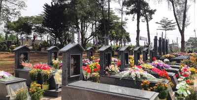 Tự tình chiều Nghĩa trang