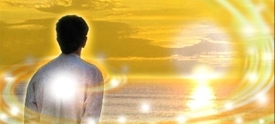 ​​​​​​​Xin Cho Con