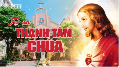 Tạ Ơn Thánh Tâm Chúa