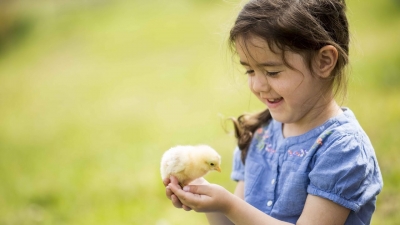 Nguyện Thương Con