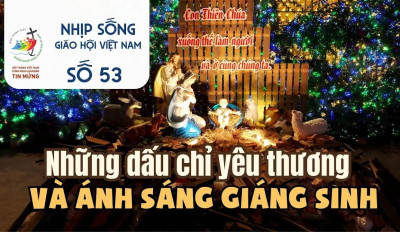 Nhịp sống Giáo hội Việt Nam số 53