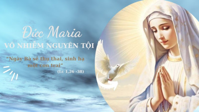 Ngày 08/12: Đức Mẹ Vô nhiễm Nguyên tội