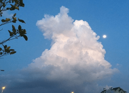 Chiều thanh vắng