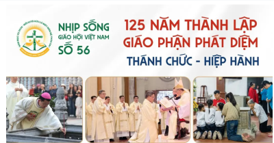 Nhịp sống Giáo hội Việt Nam số 56