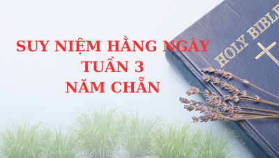 Suy niệm mỗi ngày tuần 3 thường niên, năm chẵn