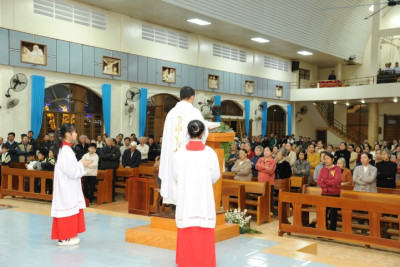 Lễ Thánh Tôma Aquinas – Khai mạc tuần Chầu lượt