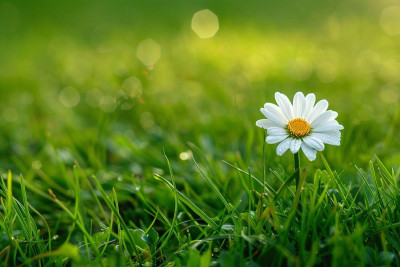 Người vô thần có thể được cứu độ?