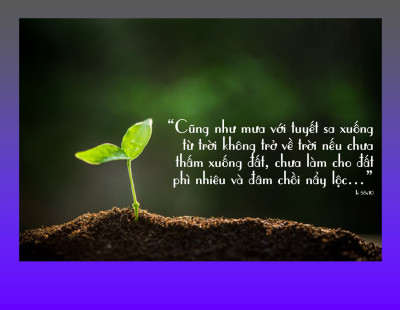 Lời không thất thủ