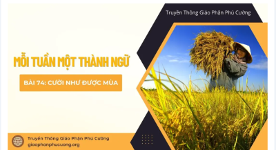 Screenshot 2026 02 02 073829