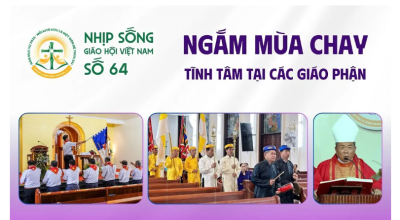 Nhịp sống Giáo hội Việt Nam số 64