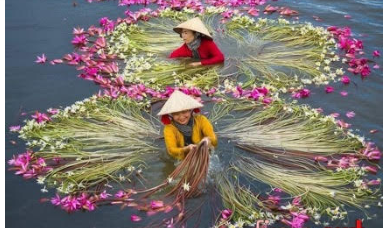 Kiến tạo không gian