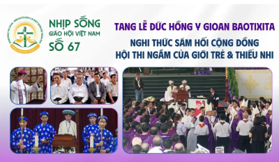 Nhịp sống Giáo hội Việt Nam số 67