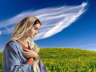 Gen Z và Tiếng "Xin Vâng"