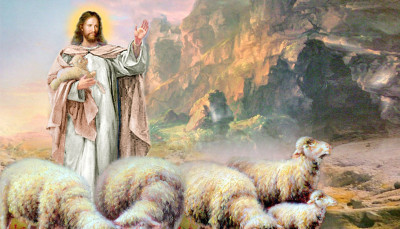 Thứ Ba tuần 4 Phục sinh - Mục tử