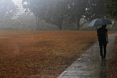 Tiếng mưa chiều