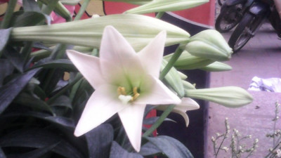 Tự sự tháng tư