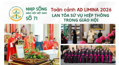 Nhịp sống Giáo hội Việt Nam số 71