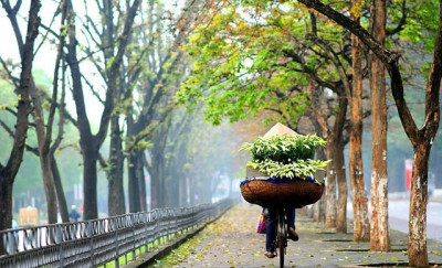 ​Giấc mộng tháng tư về ​