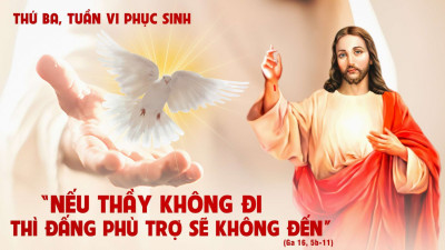 Suy Niệm Lời Chúa Thứ Ba Tuần 6 Phục Sinh