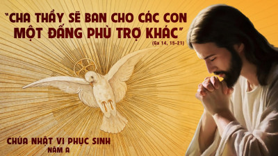 ​​​​​​​Suy Niệm Lời Chúa Chúa Nhật Tuần 6 Phục Sinh