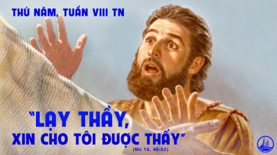 ​​​​​​​Suy Niệm Lời chúa Thứ Năm Tuần 8 Thường Niên