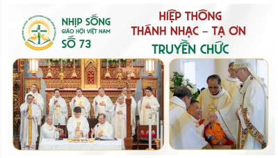 Nhịp sống Giáo hội Việt Nam số 73
