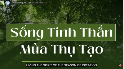 Sống tinh thần Mùa Thụ Tạo