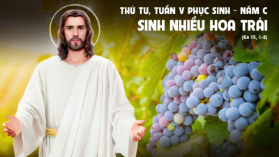 Thứ Tư tuần 5 Phục sinh - Sự sống trong Chúa Kitô