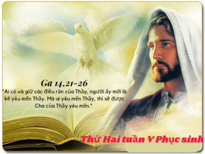 Yêu mến là thực hành