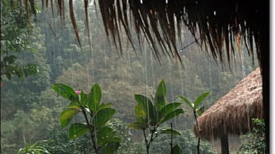 Lời của mưa
