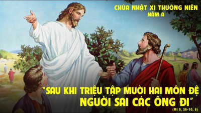Suy Niệm Lời Chúa Chúa Nhật Tuần 11 Thường Niên