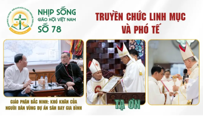 Nhịp sống Giáo hội Việt Nam số 78