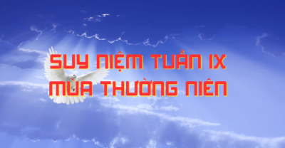 Suy niệm mỗi ngày Tuần 9 Thường niên
