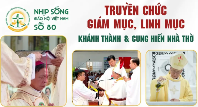 Nhịp sống Giáo hội Việt Nam số 80