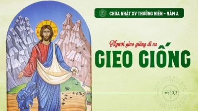Suy Niệm Lời Chúa Chúa Nhật Tuần 15 Thường Niên