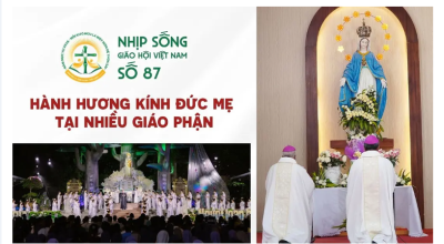 Nhịp sống Giáo hội Việt Nam số 87