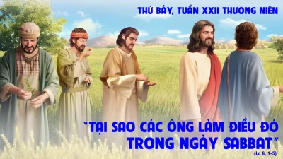 ​​​​​​​Luật vì con người