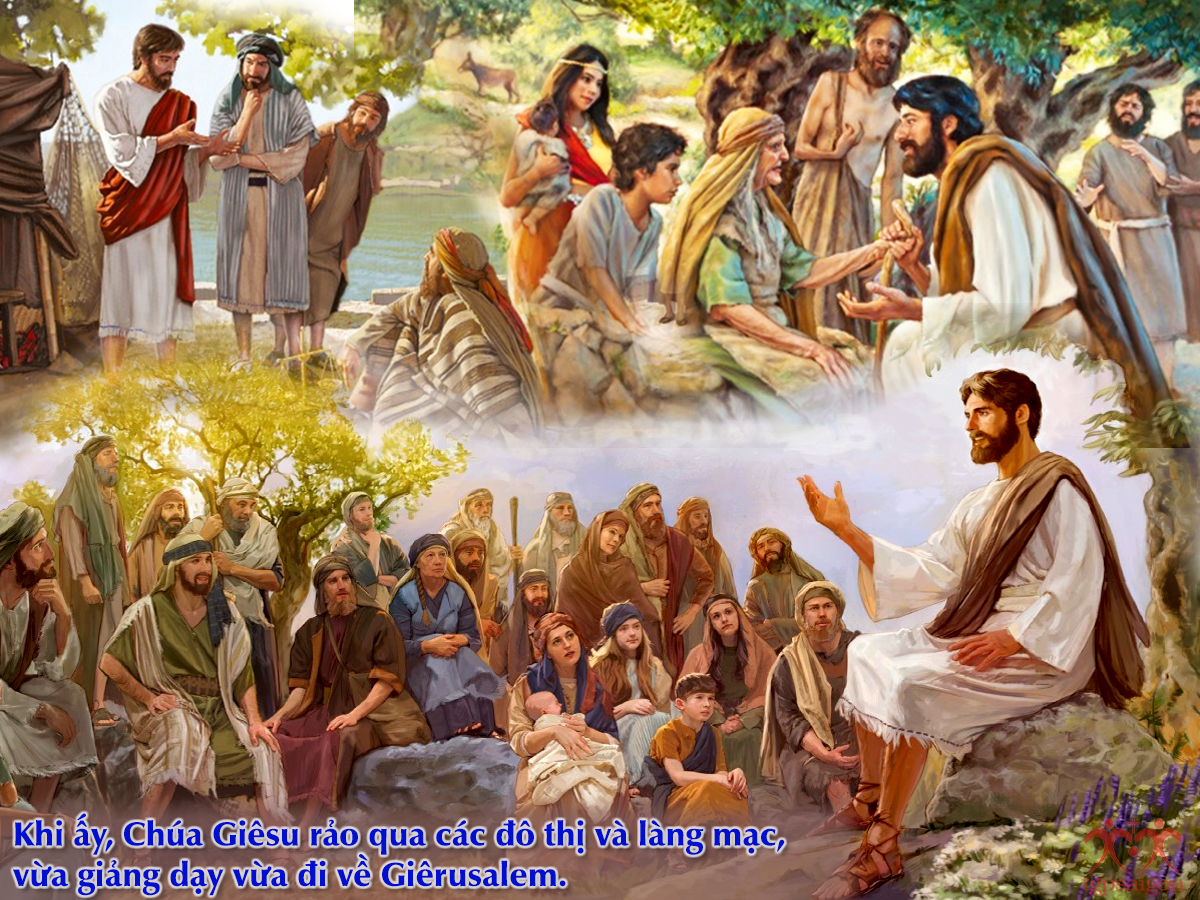 Chúa Nhật  21 Thường Niên